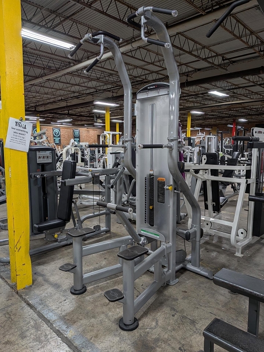 True Assist Chin / Dip Machine - Used 